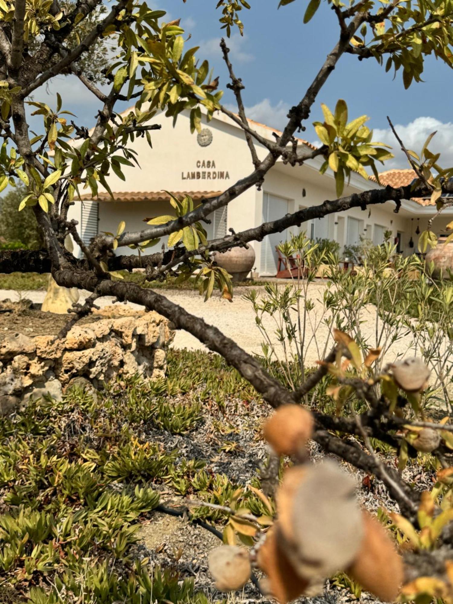 Fuensanta  Casa Lamberdina Bed & Breakfast エクステリア 写真